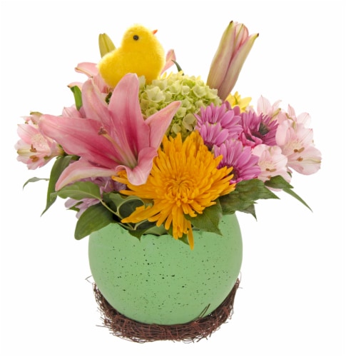 Just Hatched Arrangement - Assorted Perspective: front
