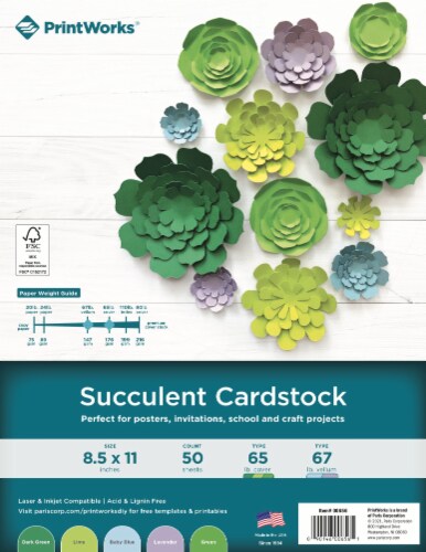 PrintWorks Succulent Cardstock Collection - 50 Sheets Perspective: front