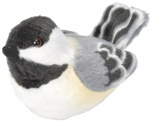 Stuffed black bird 2025