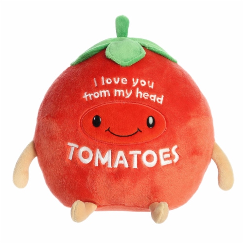Aurora Small Red JUST SAYIN' 8.5 inches Love You From Head To Tomatoes ...