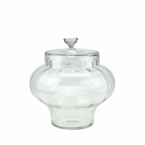 NorthLight 11 in. Transparent Segmented Glass Container with Lid Perspective: front