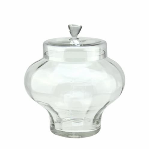 NorthLight 14.5 in. Transparent Segmented Glass Container with Lid Perspective: front