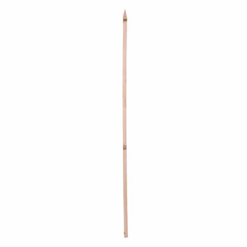 Sturdy Wood Stake Perspective: front