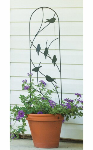 Panacea 40 in. H Black Steel Trellis