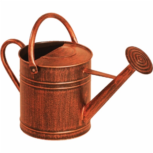 Panacea 2 Gal. Brushed Bronze Metal Watering Can 84872 Perspective: front