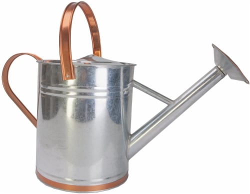 Panacea Copper/Silver 2 gal Galvanized Steel Watering Can Perspective: front