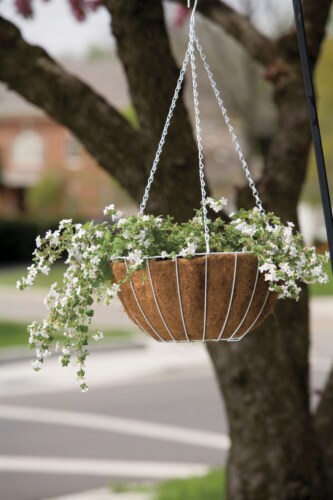 Panacea Steel Hanging Basket White Panacea Steel Hanging Basket White