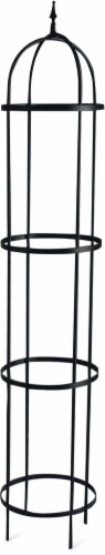 Panacea Rose Tower Obelisk - Black Perspective: front