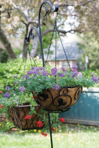Panacea Black Wrought Iron 84 in. H Double Crook Plant Hook
