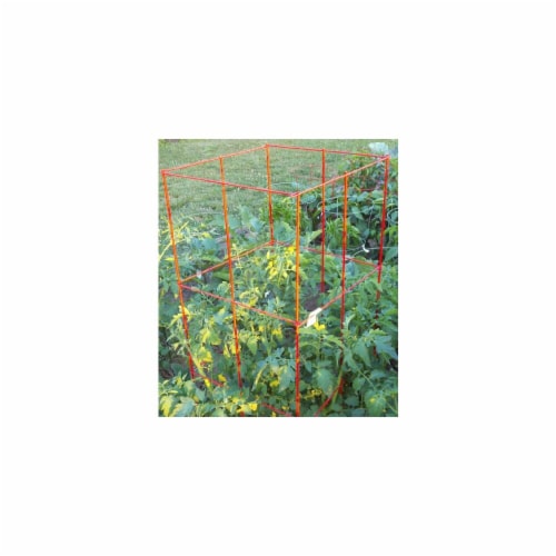 Panacea Square Tomato Tower - Red Perspective: front