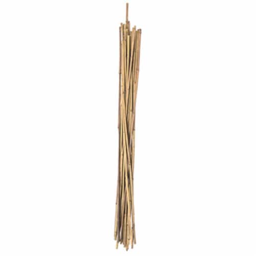 Panacea 36 in. H Brown Bamboo Plant Stake - Total Qty: 6; Each Pack Qty: 4; Total Items Rec: Perspective: front