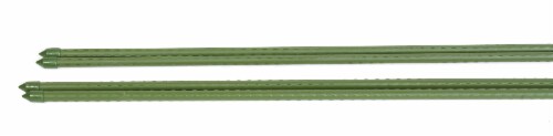 Panacea Plant Stake - Green Perspective: front