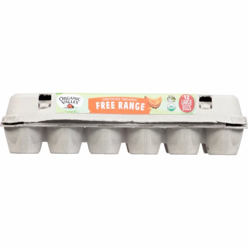 Organic Valley® Free Range Large Brown Eggs Perspective: front