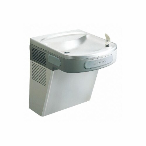 Elkay Single Drinkng Ftn,H 19 13/16 in, Silver  EZS8S Perspective: front