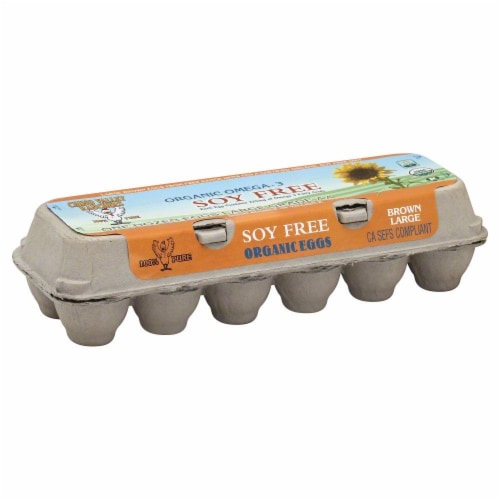 Chino Valley Ranchers Free Range Omega-3 Soy-Free Large Brown Organic Eggs Perspective: front