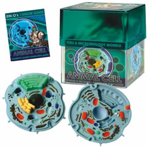 Tedco Toys 32371-ANI Bio Signs Animal Cell Model Perspective: front