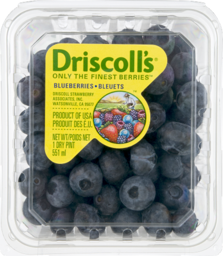 Blueberries Perspective: front