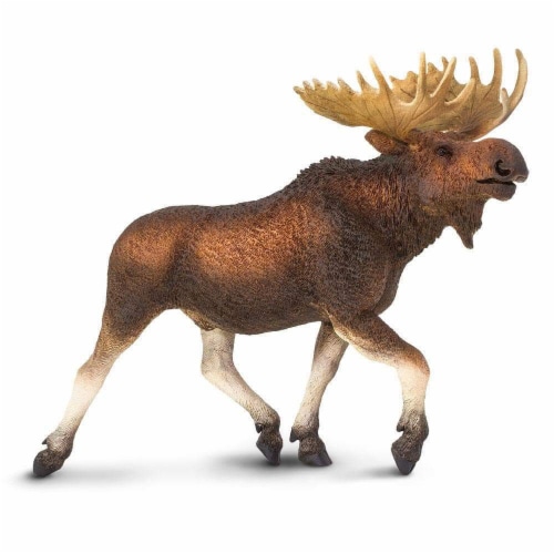 Moose Toy Perspective: front