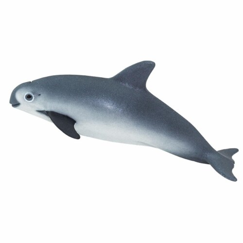 Safari 100101 Vaquita Porpoise Figurine, Multi Color Perspective: front