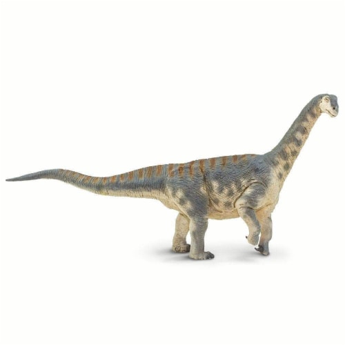 Camarasaurus Toy Perspective: front