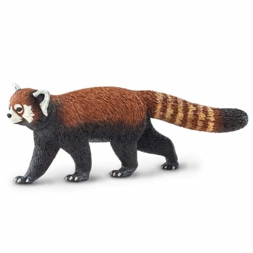 Red Panda Perspective: front