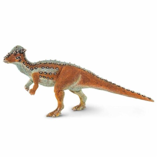 Pachycephalosaurus Toy Perspective: front
