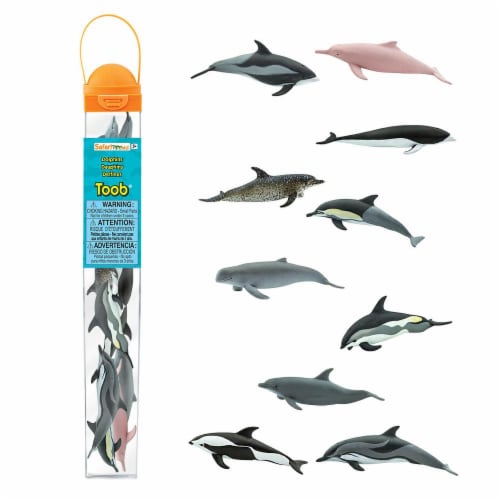 Dolphins TOOB Perspective: front