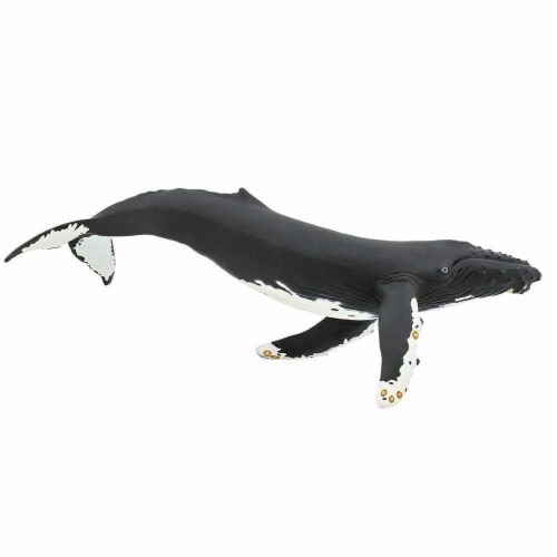 Humpback Whale Toy Perspective: front