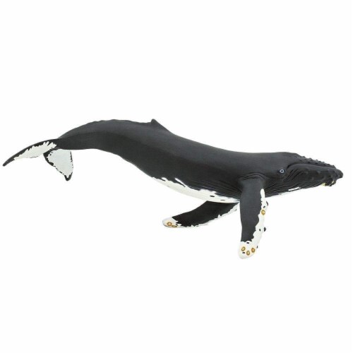 Humpback Whale Toy, lb - Kroger