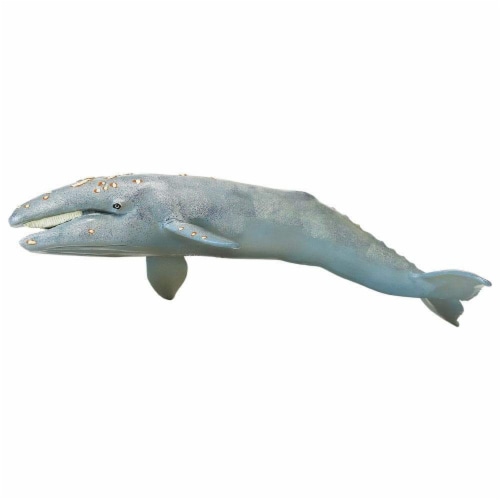 Gray Whale Toy Perspective: front