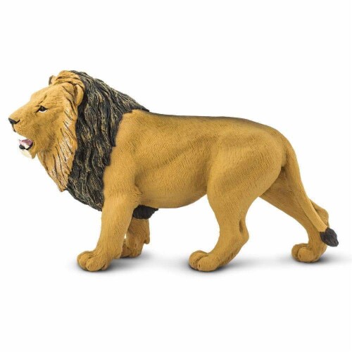Lion Toy Perspective: front