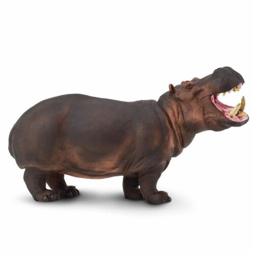 Hippopotamus Toy Perspective: front