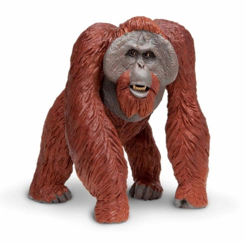 Bornean Orangutan Toy Perspective: front