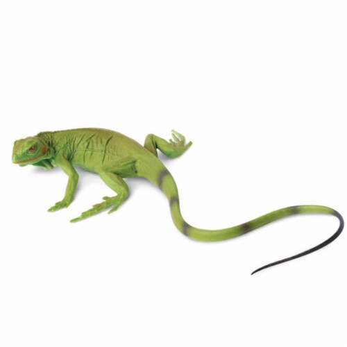 Iguana Baby Incredible Creatures Figure Safari Ltd 1 Unit Pay