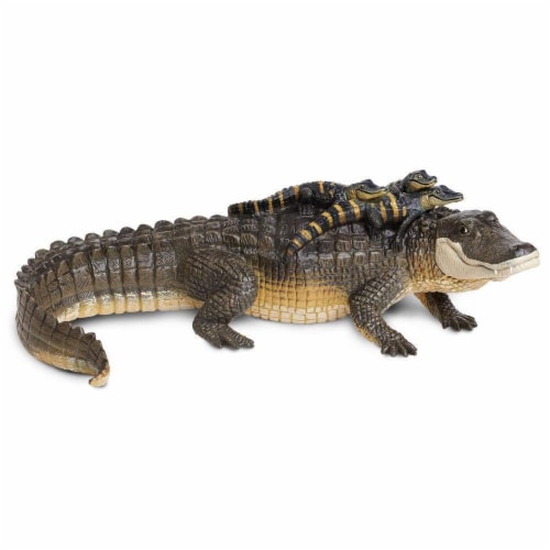 Alligator with Babies Perspective: front