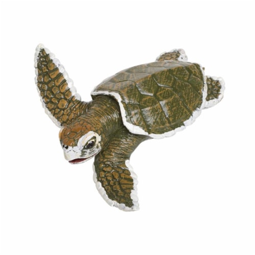 Kemp's Ridley Sea Turtle Baby Incredible Creatures Figure Safari Ltd Perspective: front