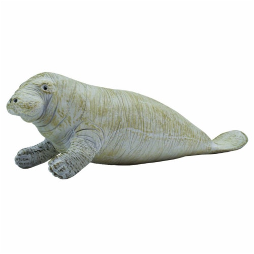 Manatee Sea Life Safari Ltd 1 Unit Fry s Food Stores