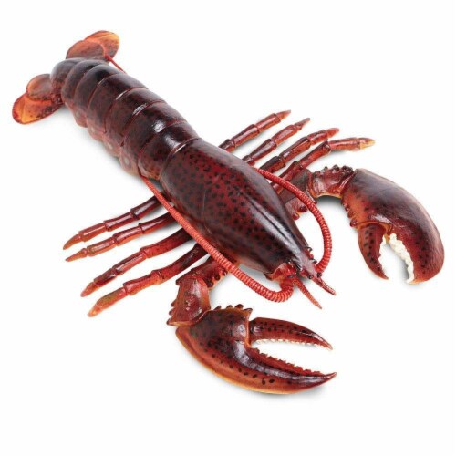 Safari Ltd®  Maine Lobster, Toy Figurine Perspective: front