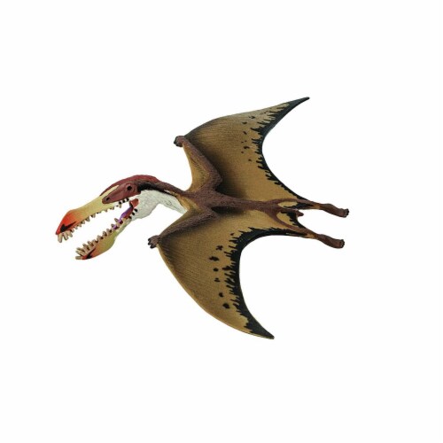 pterosaur a dinosaur