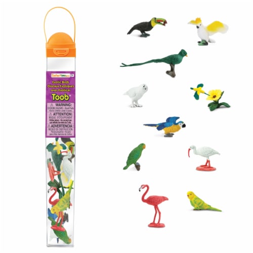 Exotic Birds TOOB Perspective: front