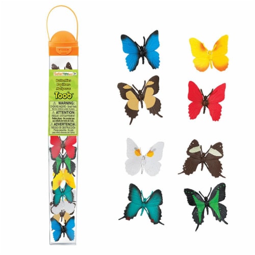 Butterflies TOOB Perspective: front
