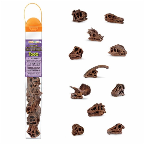 Dinosaur Skulls TOOB Toy Perspective: front
