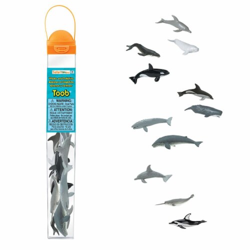 Whales & Dolphins TOOB Perspective: front