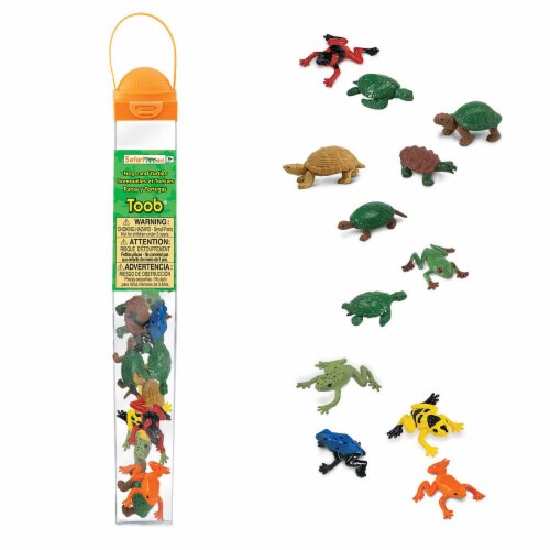 Frogs & Turtles TOOB Perspective: front