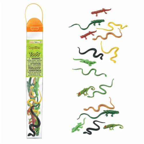Reptiles TOOB Perspective: front