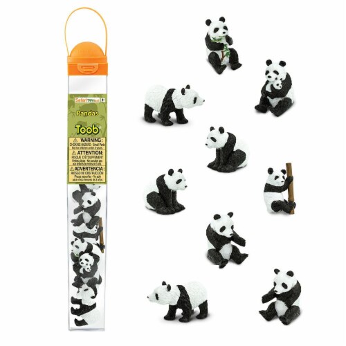 Pandas TOOB Perspective: front