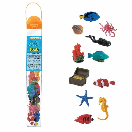 Coral Reef  TOOB Perspective: front