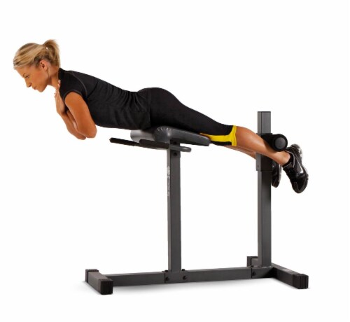 Workout bench chair hotsell