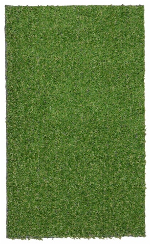 Garland Landscape Turf Area Rug Perspective: front