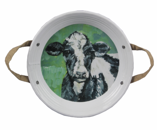 Barnyard  Metal Tray 2 PC. Set Perspective: front